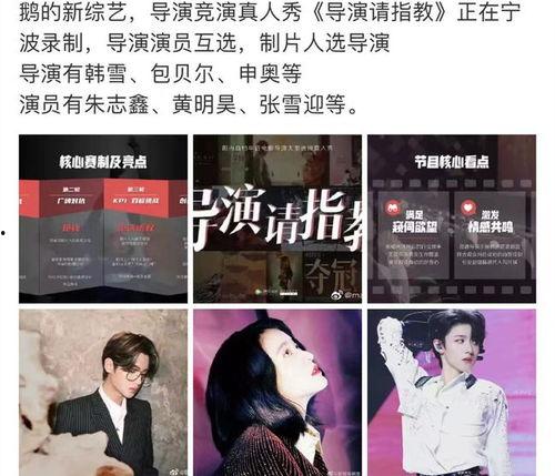 圈内人士爆料朱志鑫视频,圈内人士揭秘幕后真相  第2张