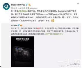 打假内鬼爆料视频大全,视频大全背后的真相与警示 第2张 打假内鬼爆料视频大全,视频大全背后的真相与警示 第2张