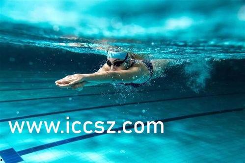 英国媒体爆料游泳视频,揭秘运动员训练幕后
